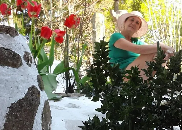 Molino Del Gobbo Bed & Breakfast Sant'Agata Feltria